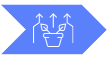 Estrategia- ejecución inteligente