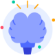 Brain Brain